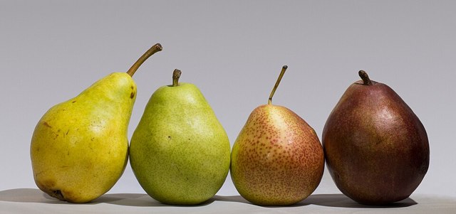 Fruit Pears Kg