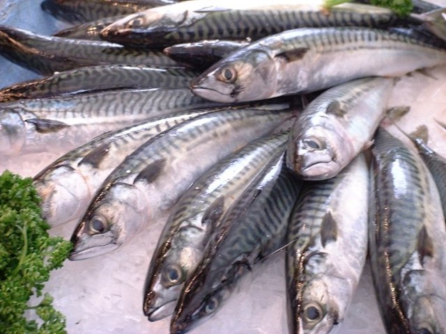 Headless Atlantic mackerel 300g (10 packs)