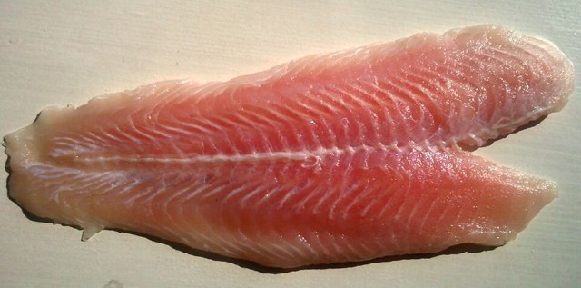 Fresh fish fillet, 1 box (10 × 500g)
