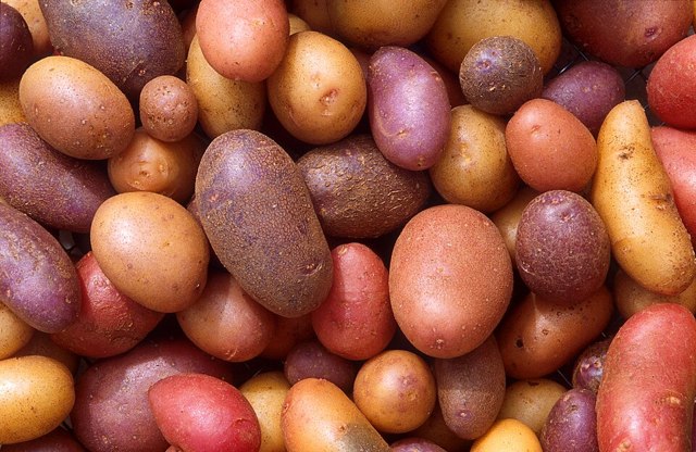 بطاطا كبيرة (kg)