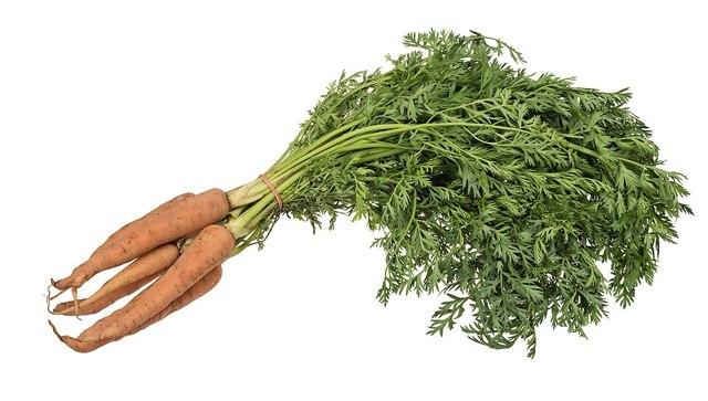 گێزەر